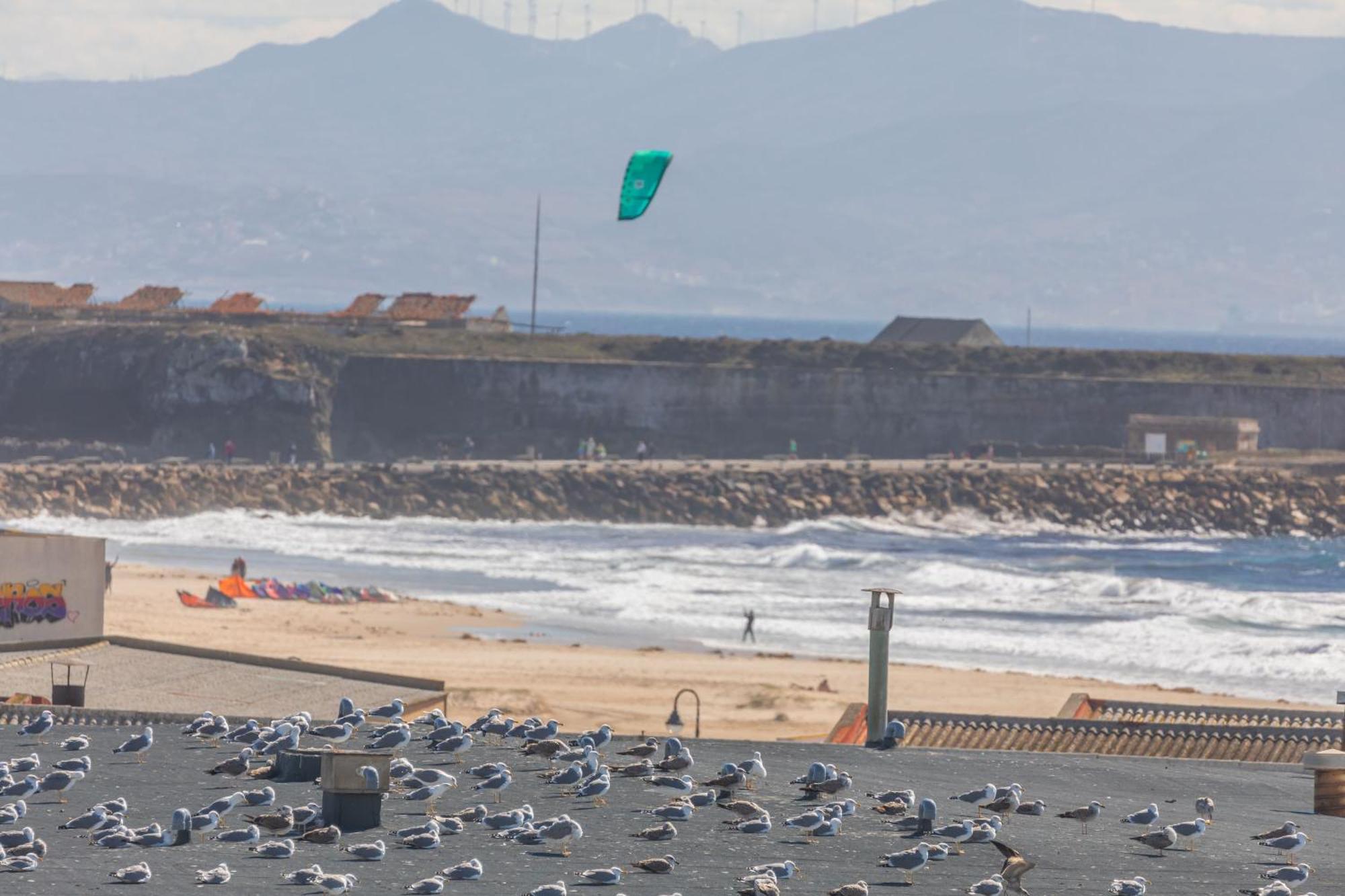 Los Lances Beach Apartments Tarifa Exteriör bild